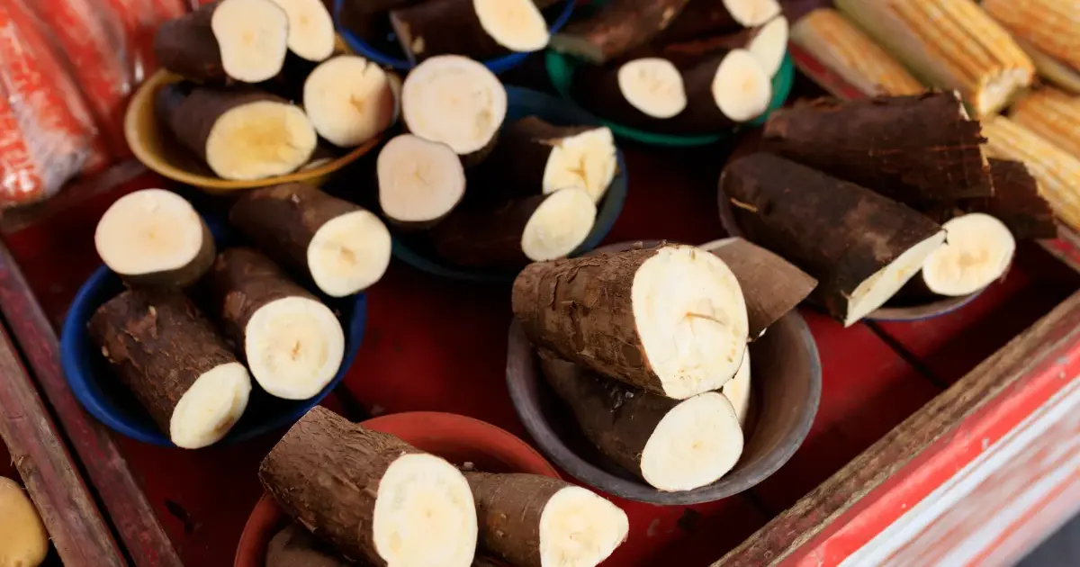 Mandioca con dulce de leche: el helado que suena raro y funciona | Lotta Helados
